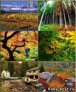 HQ Wallpapers - Autumn