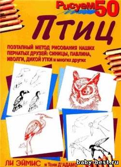 Рисуем 50 птиц