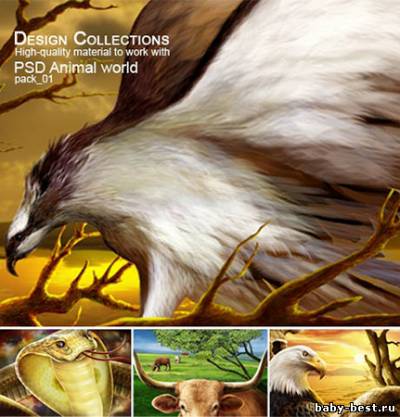 PSD исходники - Животный мир