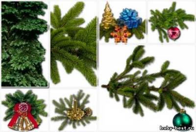 Новогодний клипарт – еловые ветки