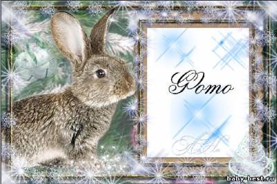 Рамка с кроликом