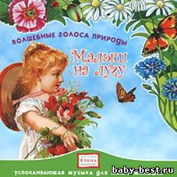 Малыш на лугу