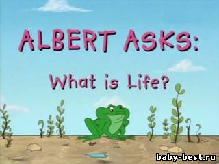 Спроси у Альберта / Albert asks (13-14 серии)