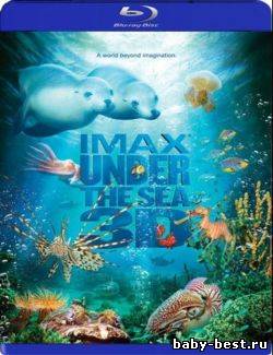 На глубине морской / Under the Sea (2009) HDRip