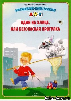 Информационно-деловое оснащение ДОУ. Один на улице, или безопасная прогулка