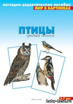 Птицы средней полосы. Мир в картинках