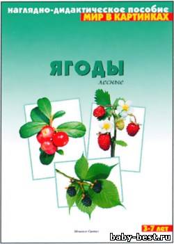 Лесные ягоды. Мир в картинках