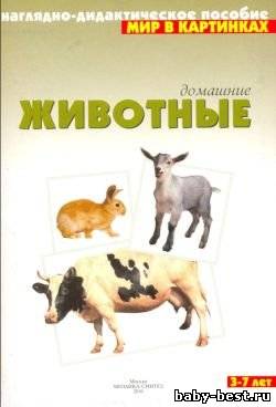 Домашние животные. Мир в картинках