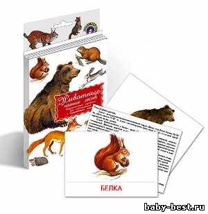 Дидактические карточки.Набор комплектов