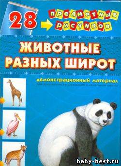 Животные разных широт в картинках