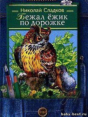 Николай Сладков. Бежал ежик по дорожке