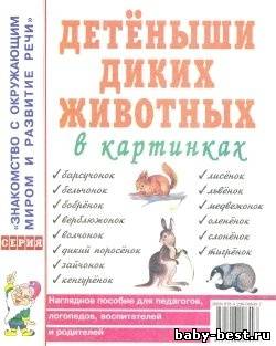 Детеныши диких животных в картинках