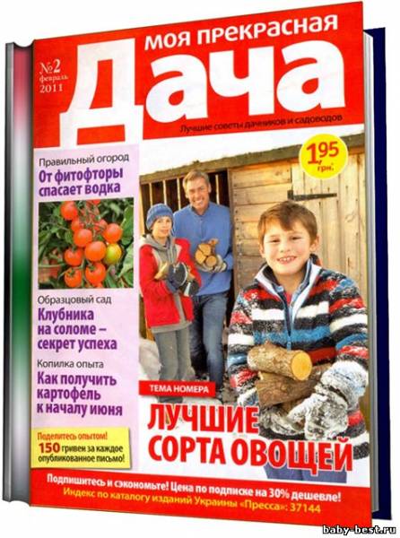 Моя прекрасная дача №2 (2011)