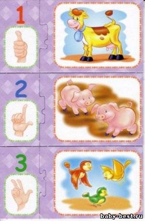 Найди пару. Счет.