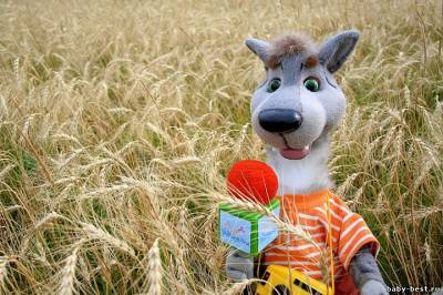 По секрету всему свету (33 выпуска) (2010) Flash Video