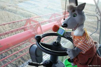 По секрету всему свету (33 выпуска) (2010) Flash Video