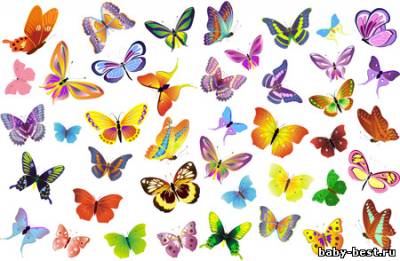 Клипарт - Радужные бабочки