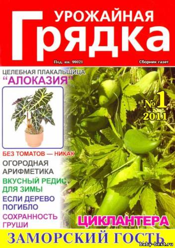Урожайная грядка №1 2011