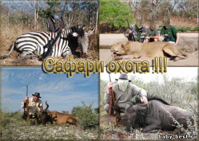 Мужские шаблоны для фото – Сафари Охота !