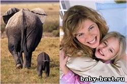 Мама (песня-клип)