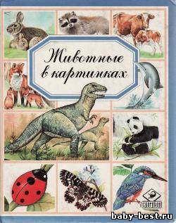 Животные в картинках
