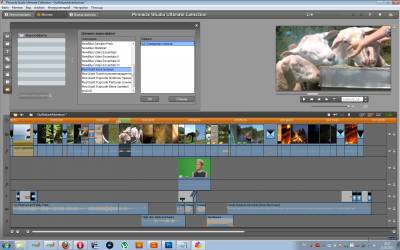 Pinnacle Studio 15 HD Ultimate Collection 15.0.0.7593 Full