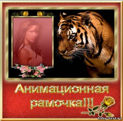 Анимационная Рамочка с Тигром !