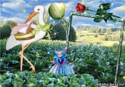 Детская рамочка. В капусте