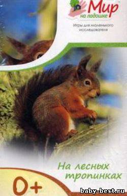 Мир на ладошке. На лесных тропинках