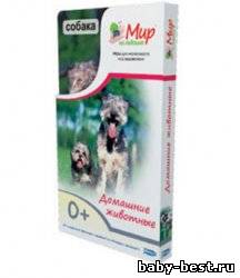 Мир на ладошке. Домашние животные.