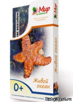 Мир на ладошке. Живой океан