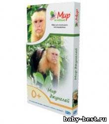 Мир на ладошке. Мир джунглей.