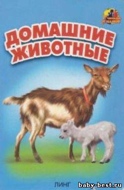 Домашние животные. Демонстрационный материал для самых маленьких