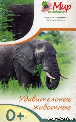 Мир на ладошке. Удивительные животные