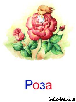 Карточки Глена Домана. Цветы