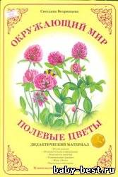 Полевые цветы