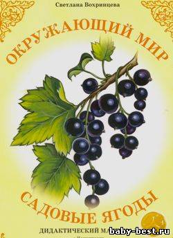 Окружающий мир. Садовые ягоды. Дидактический материал
