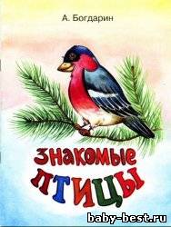 Знакомые птицы