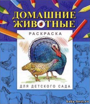 Домашние животные. Раскраска для детского сада.