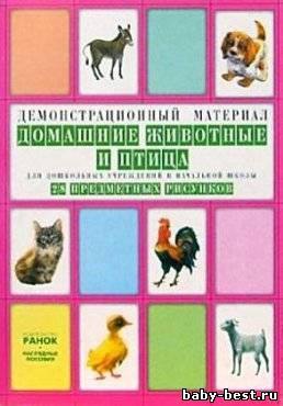 Домашние животные и птица. Комплект наглядных пособий.