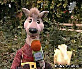 По секрету всему свету. 42 серии. ( 2010 ) DVDRip