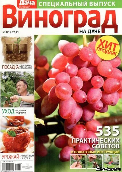 Любимая дача. Виноград на даче. Спецвыпуск №1 2011