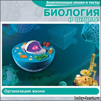 Электронные уроки и тесты. Биология в школе. Организация жизни