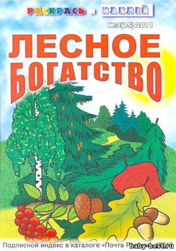 Раскрась и наклей. Лесное богатство