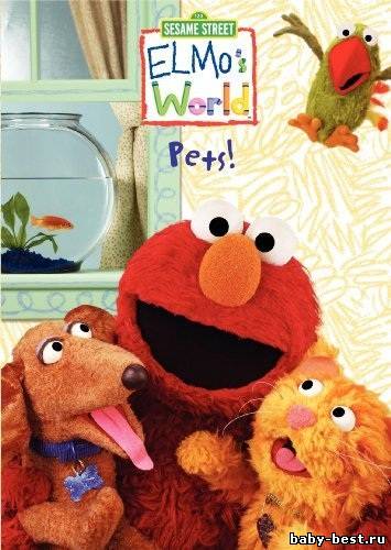 Улица Сезам: МИР Элмо - Домашние животные / Sesame Street: Elmo's World - Pets (2006) DVDRip