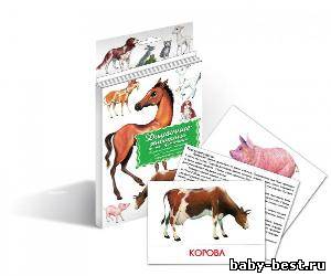 Домашние животные и их детеныши. Дидактические карточки.