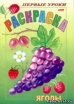 Раскраска. Ягоды