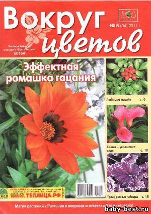 Вокруг цветов №5 2011