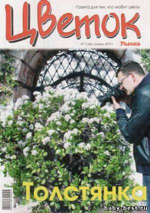 Цветок №7 2011