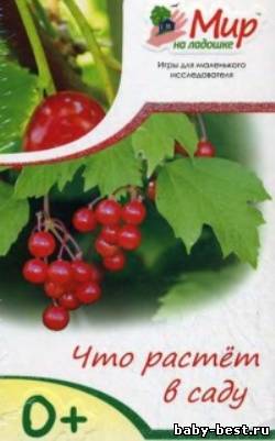 Мир на ладошке. Что растете в саду